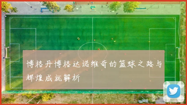 博格丹博格达诺维奇的篮球之路与辉煌成就解析