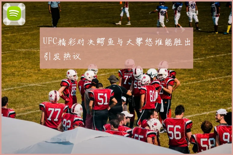 UFC精彩对决鳄鱼与大攀悠谁能胜出引发热议